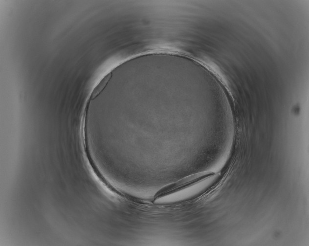 X0000091561391200708171316