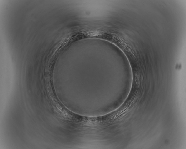 X0000091561393200708171316