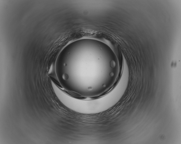 X0000091561394200708171316