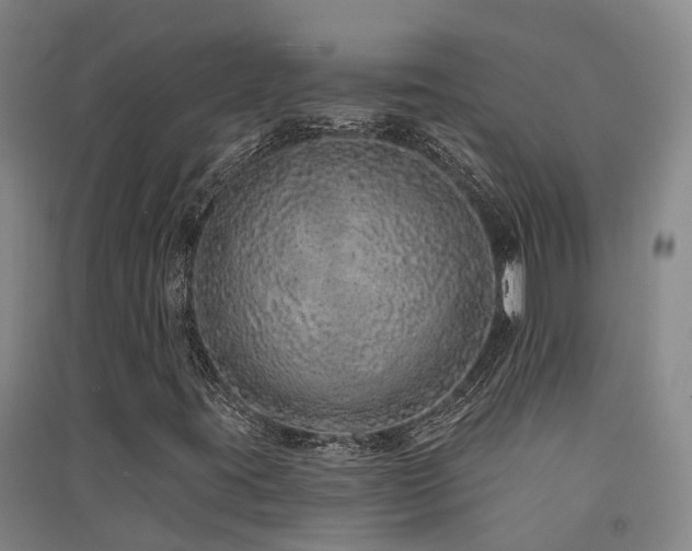 X0000091561395200708171316