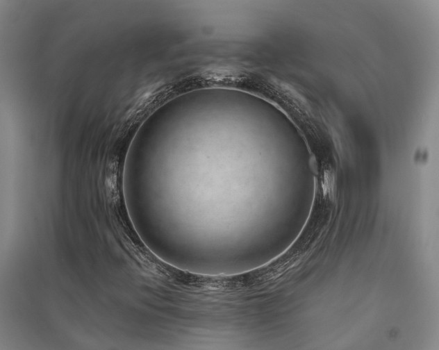 X0000091561396200708171316