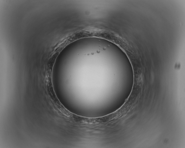 X0000091561397200708171316