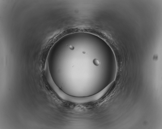 X0000091561398200708171316