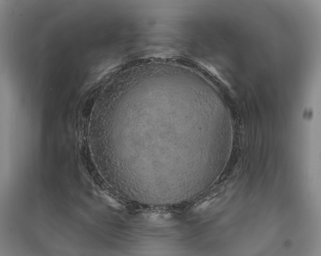 X0000091561399200708171316