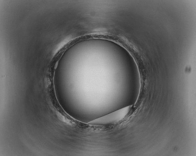 X0000091561400200708171316