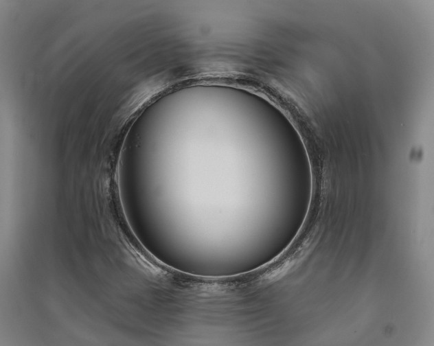 X0000091561401200708171316