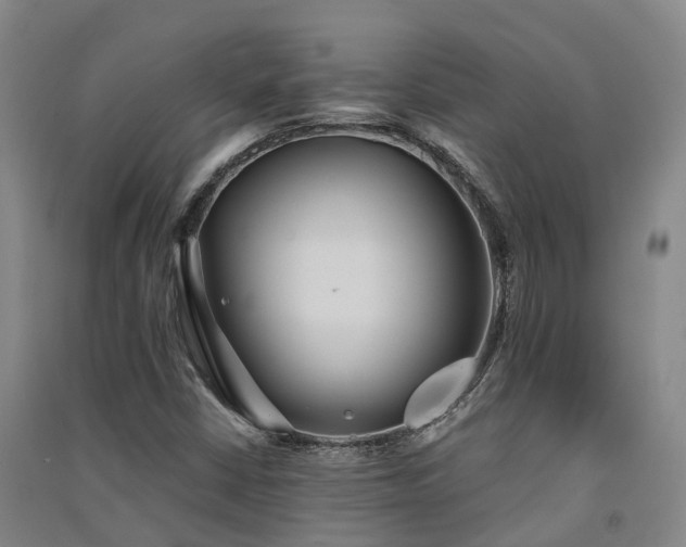 X0000091561402200708171316