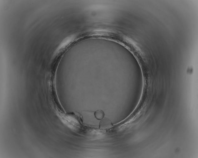 X0000091561403200708171316