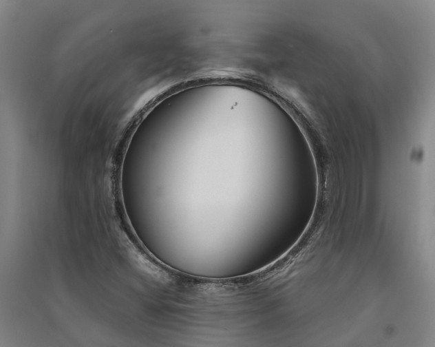 X0000091561404200708171316