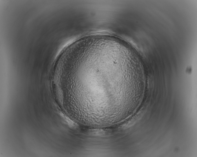 X0000091561405200708171316