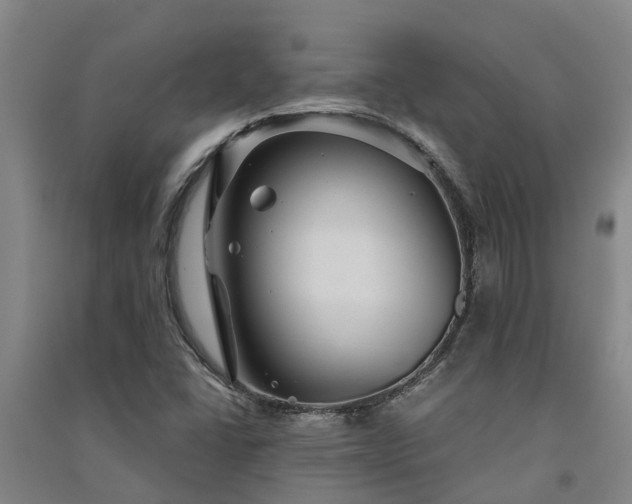 X0000091561406200708171316