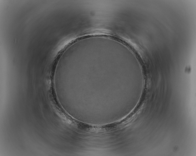 X0000091561407200708171316