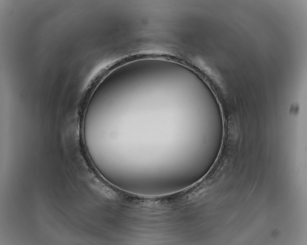 X0000091561408200708171316