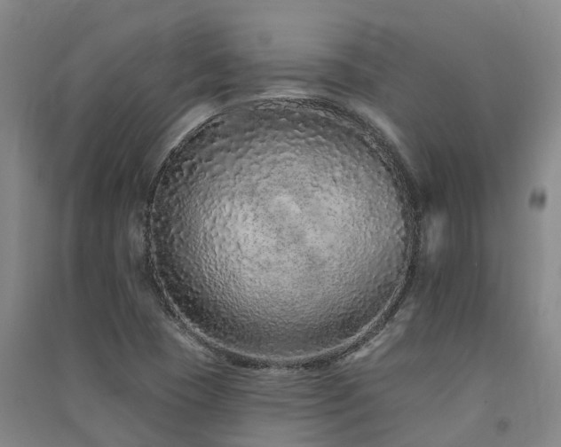 X0000091561409200708171316