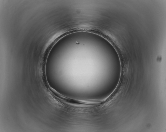 X0000091561410200708171316