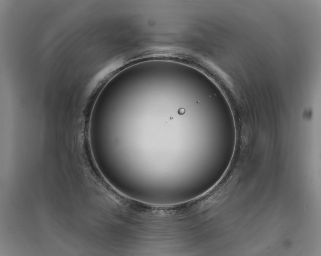 X0000091561411200708171316