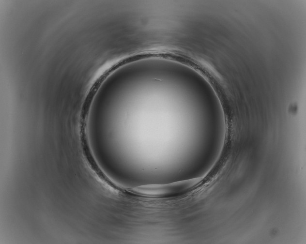 X0000091561412200708171316