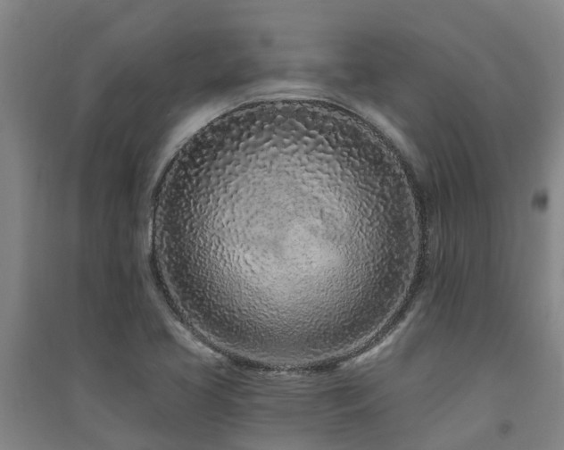 X0000091561413200708171316