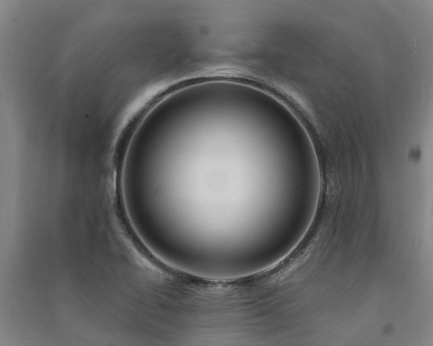 X0000091561414200708171316