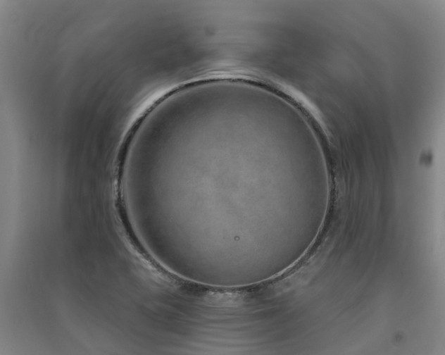 X0000091561415200708171316