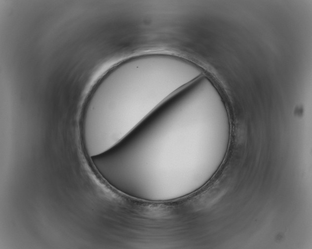 X0000091561416200708171316