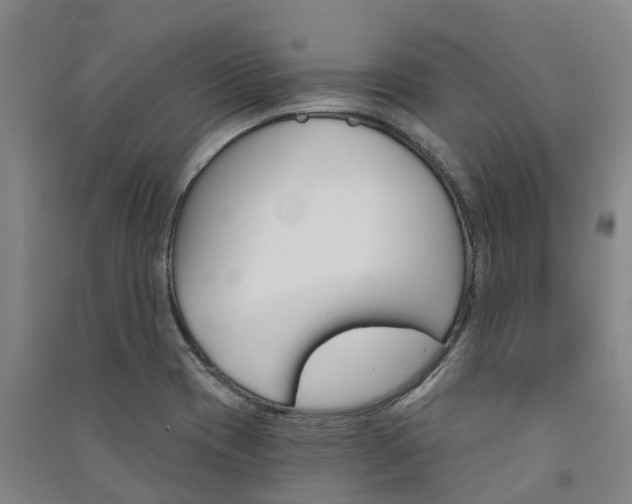 X0000091561417200708171316