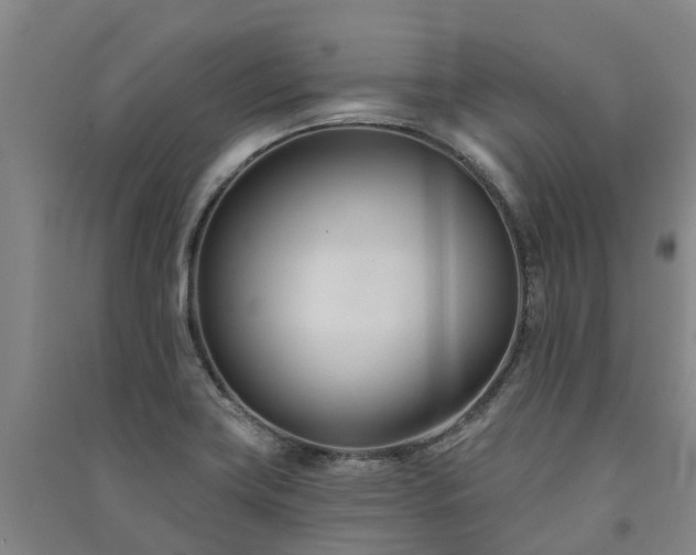 X0000091561419200708171316