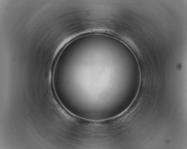 X0000091561420200708171316