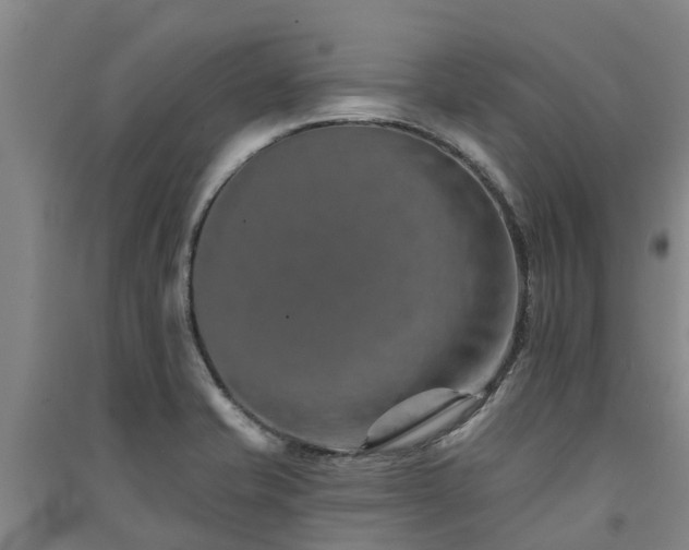 X0000091561421200708171316