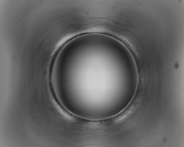 X0000091561422200708171316