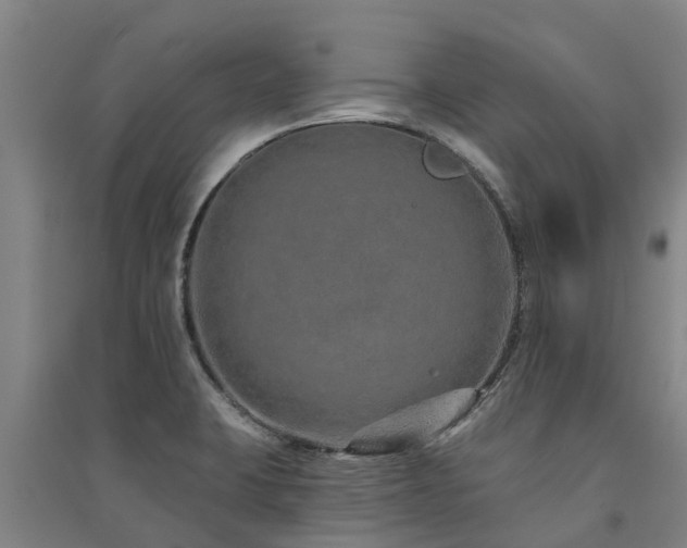 X0000091561423200708171316