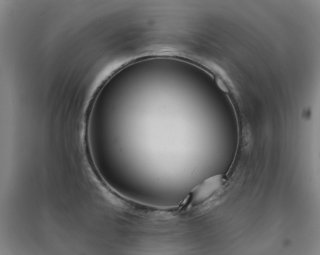 X0000091561424200708171316