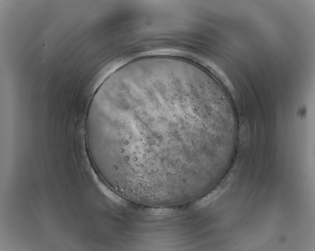 X0000091561425200708171316