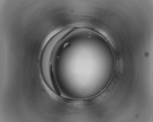 X0000091561426200708171316