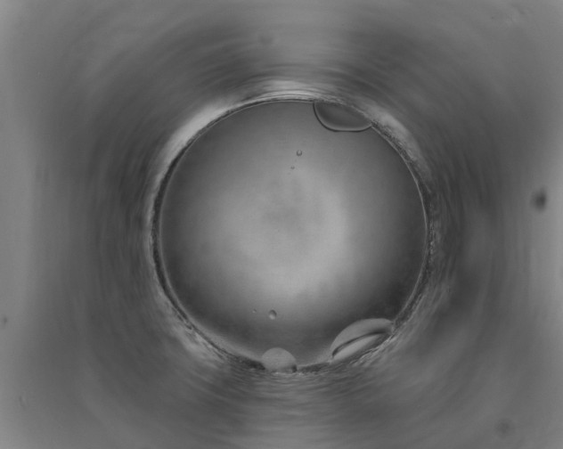 X0000091561427200708171316