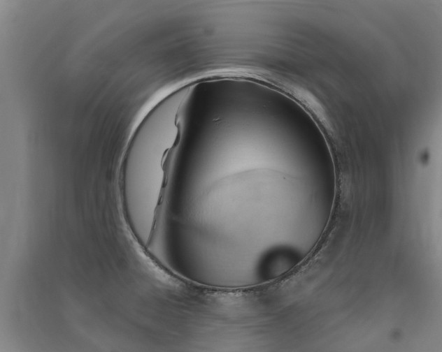 X0000091561428200708171316