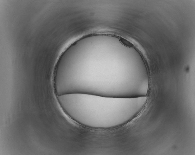 X0000091561429200708171316