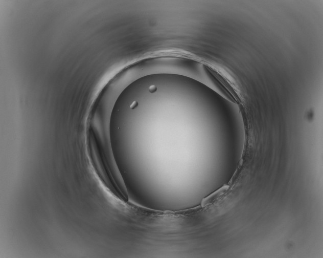 X0000091561430200708171316