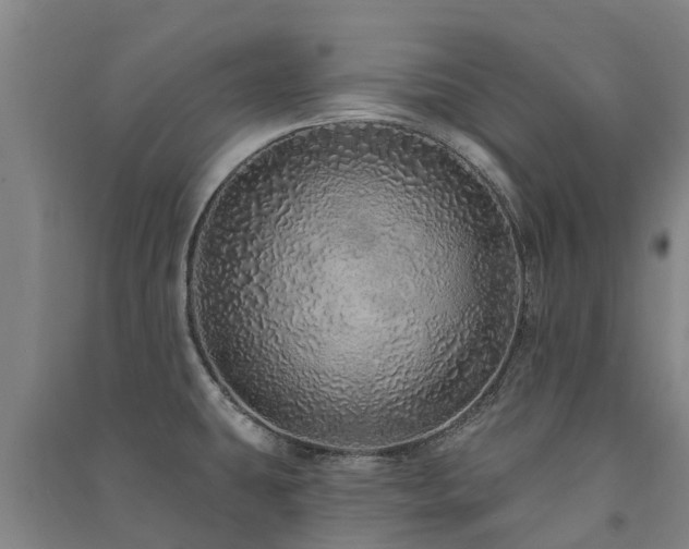 X0000091561431200708171316