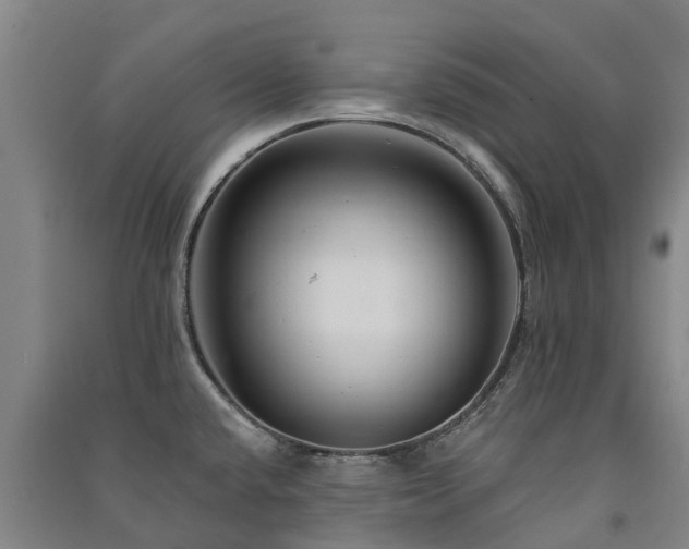 X0000091561432200708171316