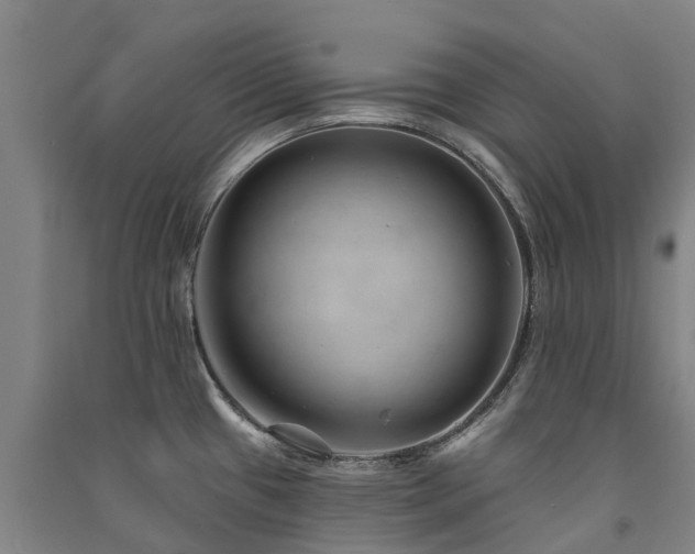 X0000091561433200708171316