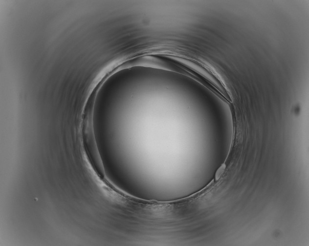 X0000091561434200708171316