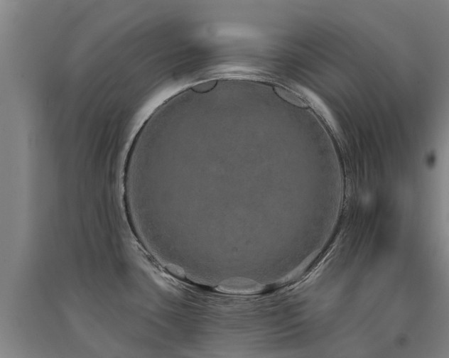 X0000091561435200708171316