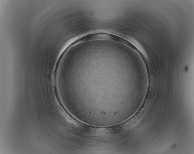 X0000091561436200708171316