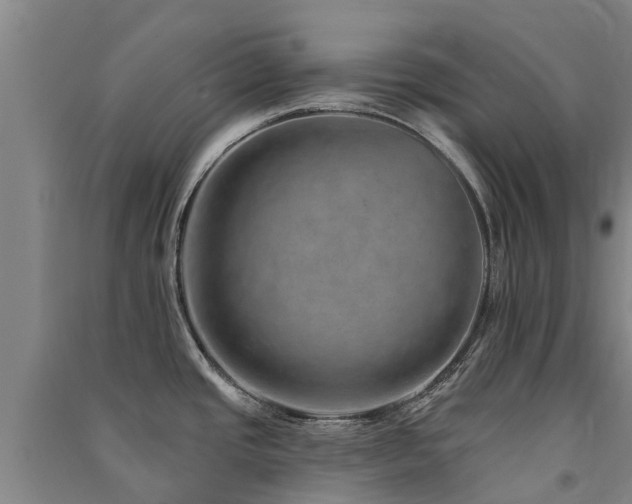 X0000091561437200708171316