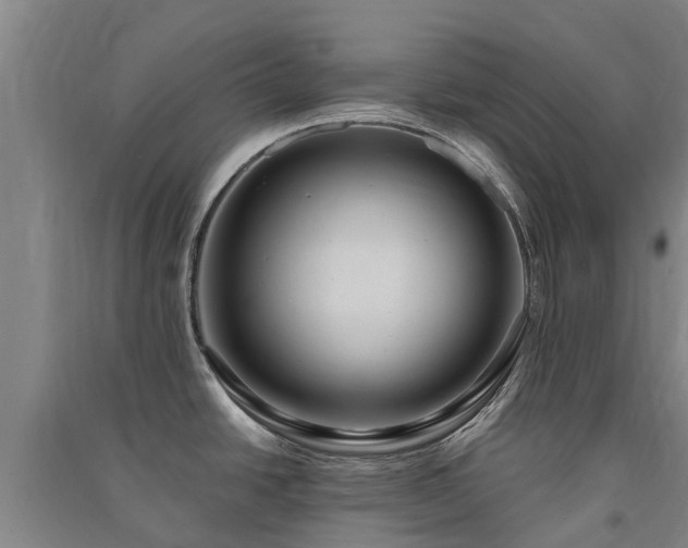 X0000091561438200708171316