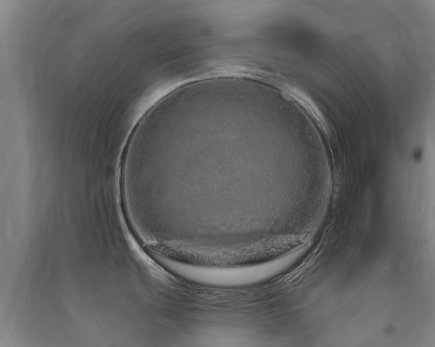 X0000091561439200708171316