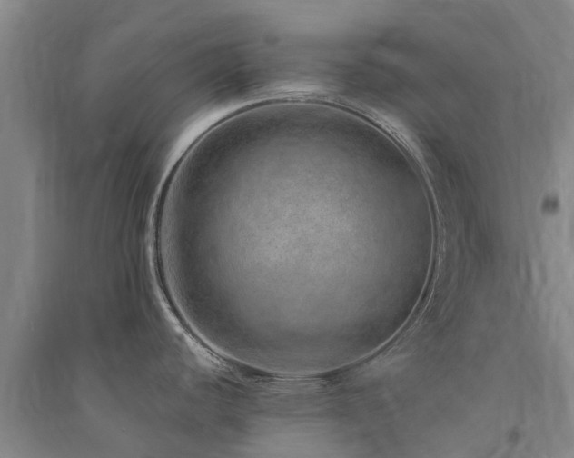 X0000091561440200708171316