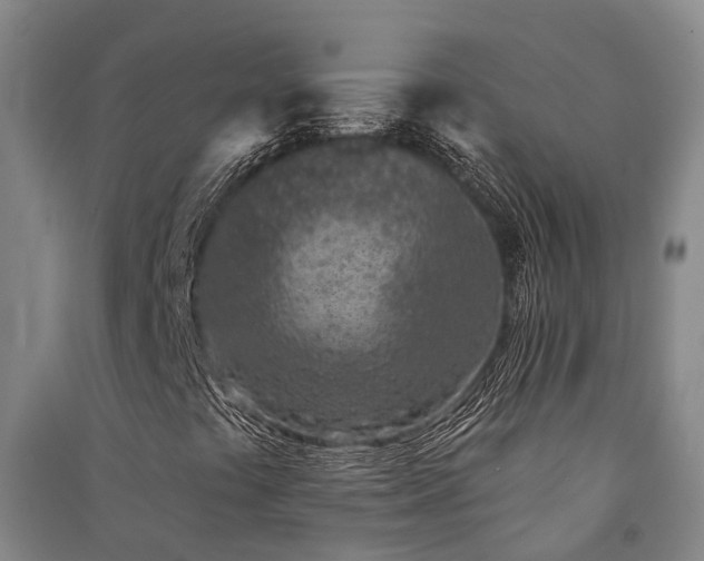 X0000091561441200708171316