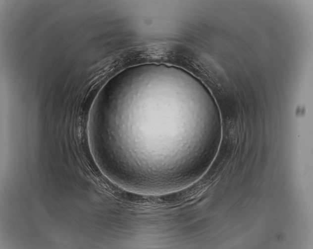 X0000091561442200708171316